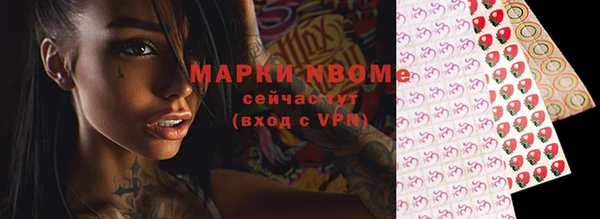 ECSTASY Гусь-Хрустальный