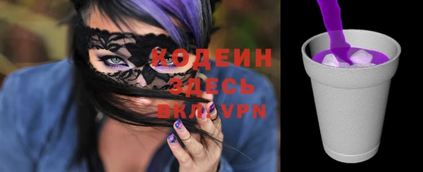 ECSTASY Гусь-Хрустальный
