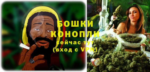 ECSTASY Гусь-Хрустальный