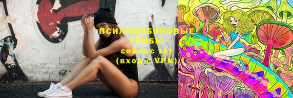 мет Гусев
