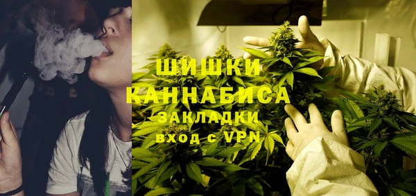ECSTASY Гусь-Хрустальный