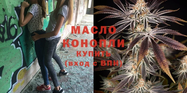 ECSTASY Гусь-Хрустальный