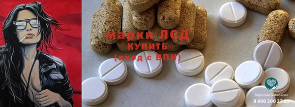 ECSTASY Гусь-Хрустальный