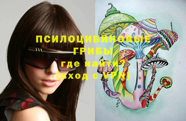 ECSTASY Гусь-Хрустальный