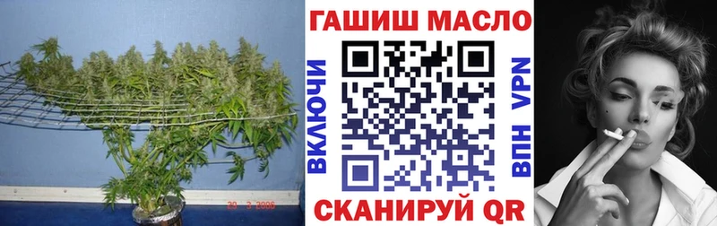 Купить где  Наволоки  ТГК THC oil 