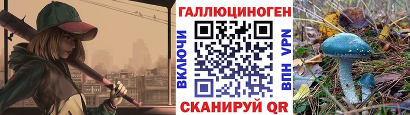 Псилоцибиновые грибы прущие грибы  Купить где  Наволоки 